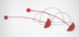 Morning Glory